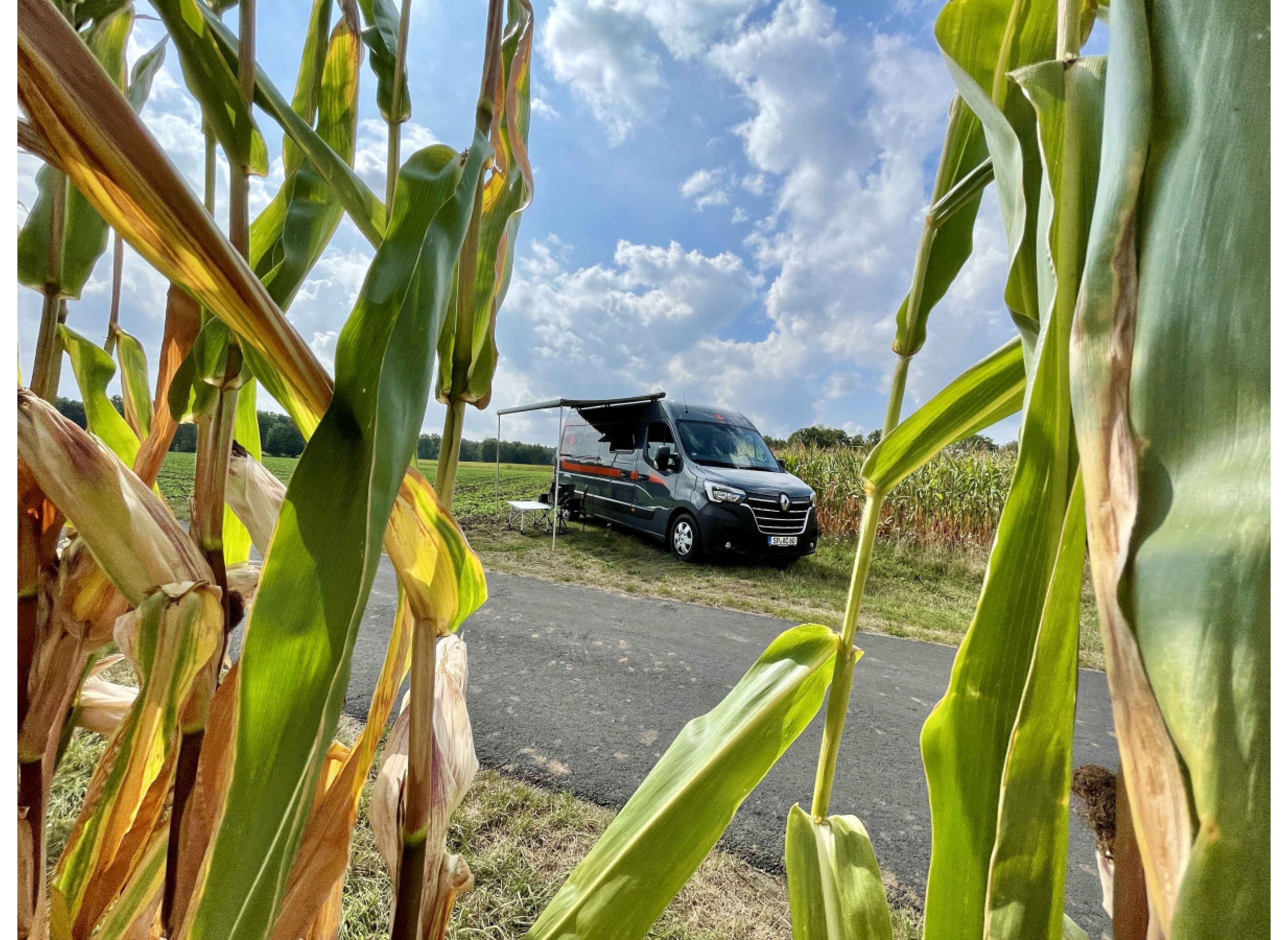 Einzelstellplatz zwischen den Feldern in Telgte — Sp. parking dla kamperów in Telgte
