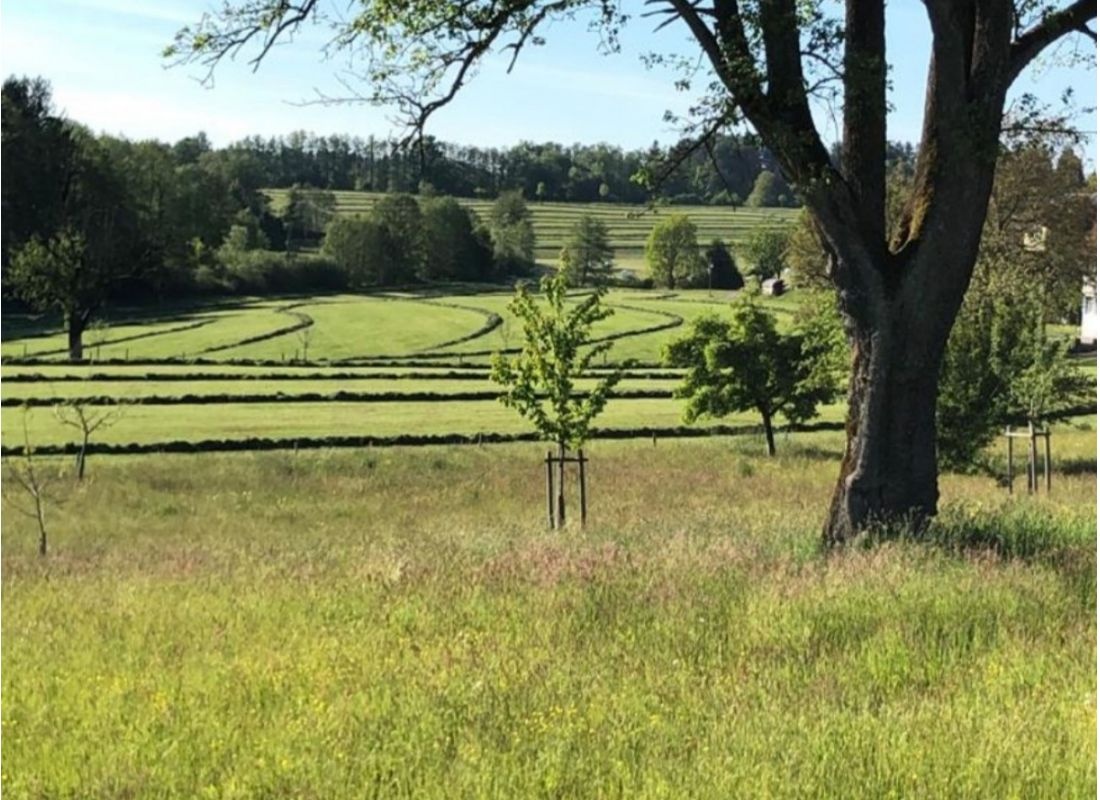 Wild Camping "Waldersruh" — Sítio para autocaravanas in Hergensweiler