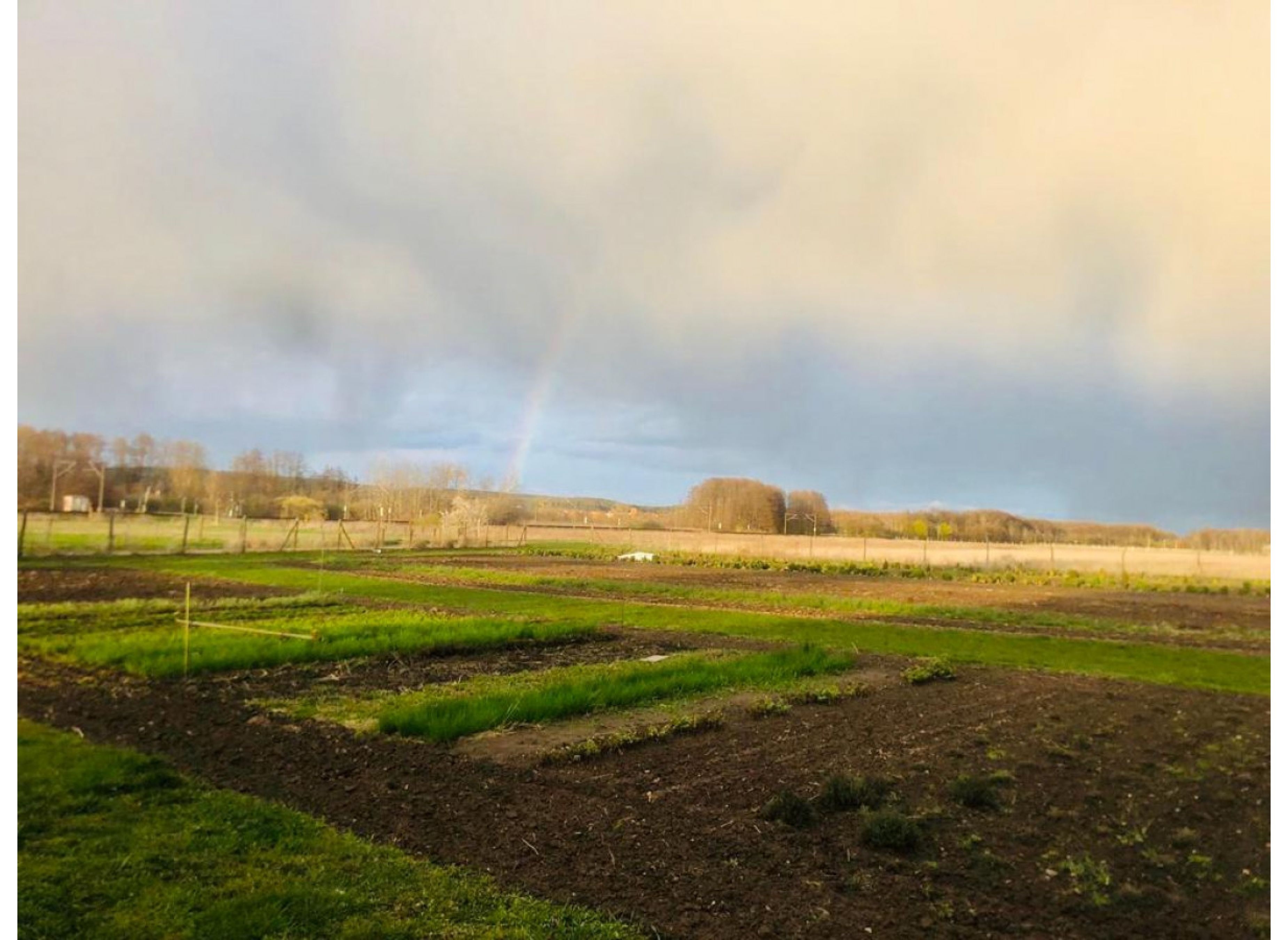 Direkt im Garten mit schönem Ausblick #2 — Karavan Sitesi in Groß Kreutz (Havel)