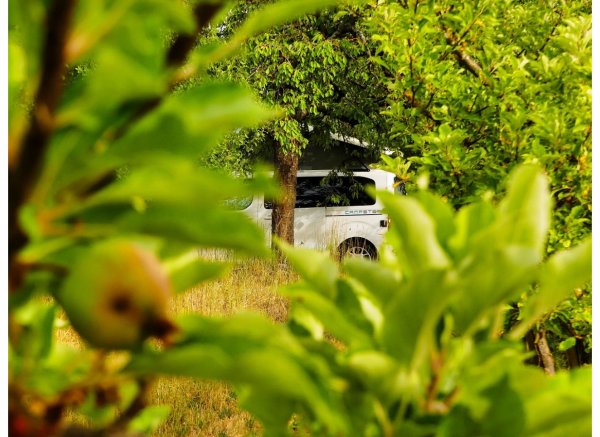 Urlaub auf dem Bauernhof #3 — Photo 2