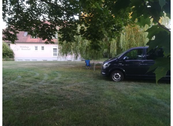 Der kleine an der Weide — Foto 3