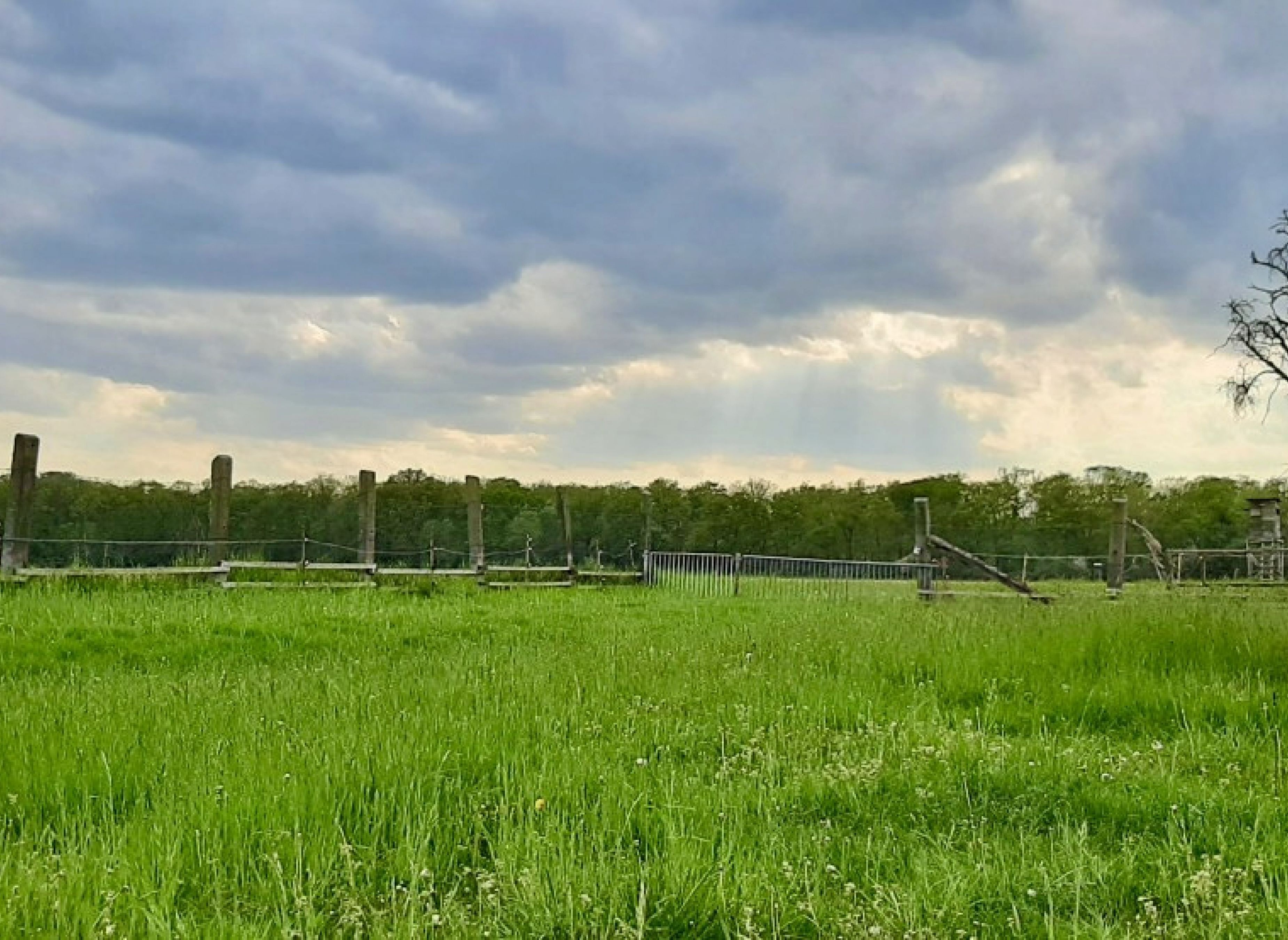 Auf dem Ziegenhof — Sp. parking dla kamperów in Zerbst/Anhalt