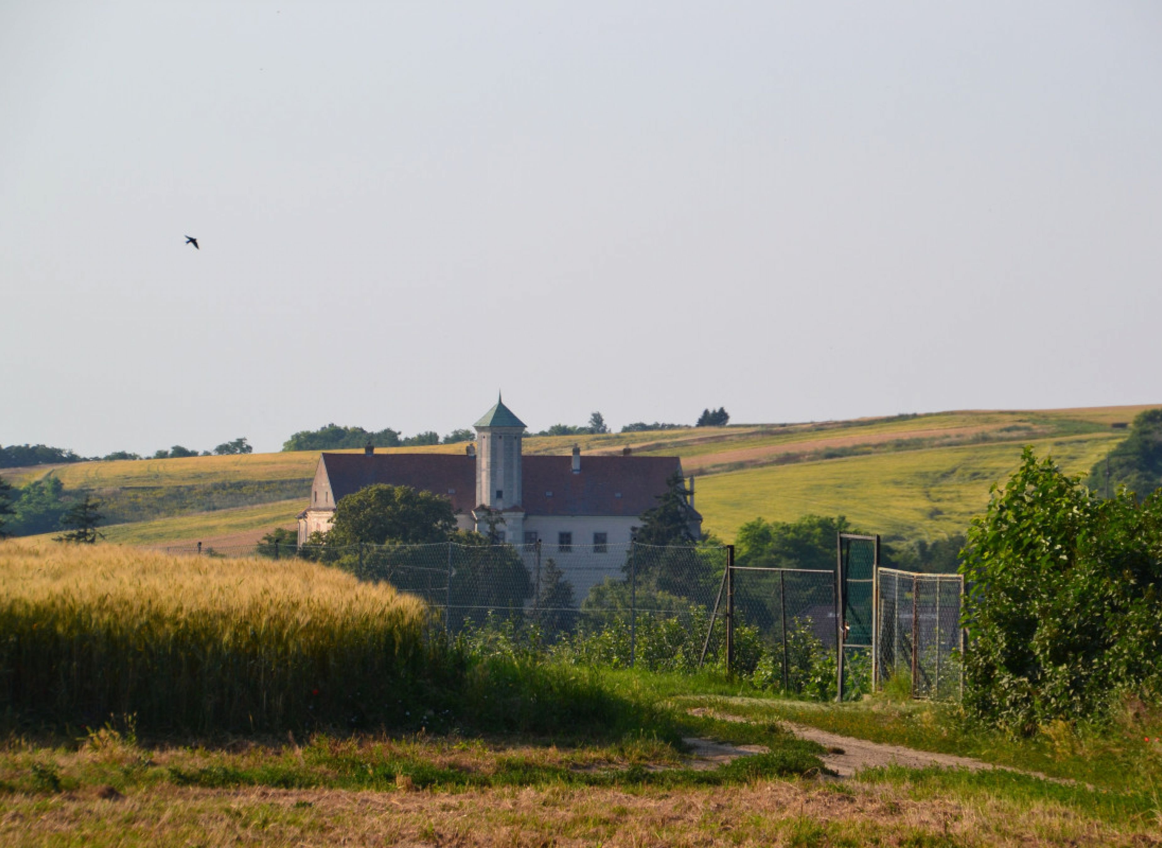 Stellplatz in Jedenspeigen — Sp. parking dla kamperów in Jedenspeigen