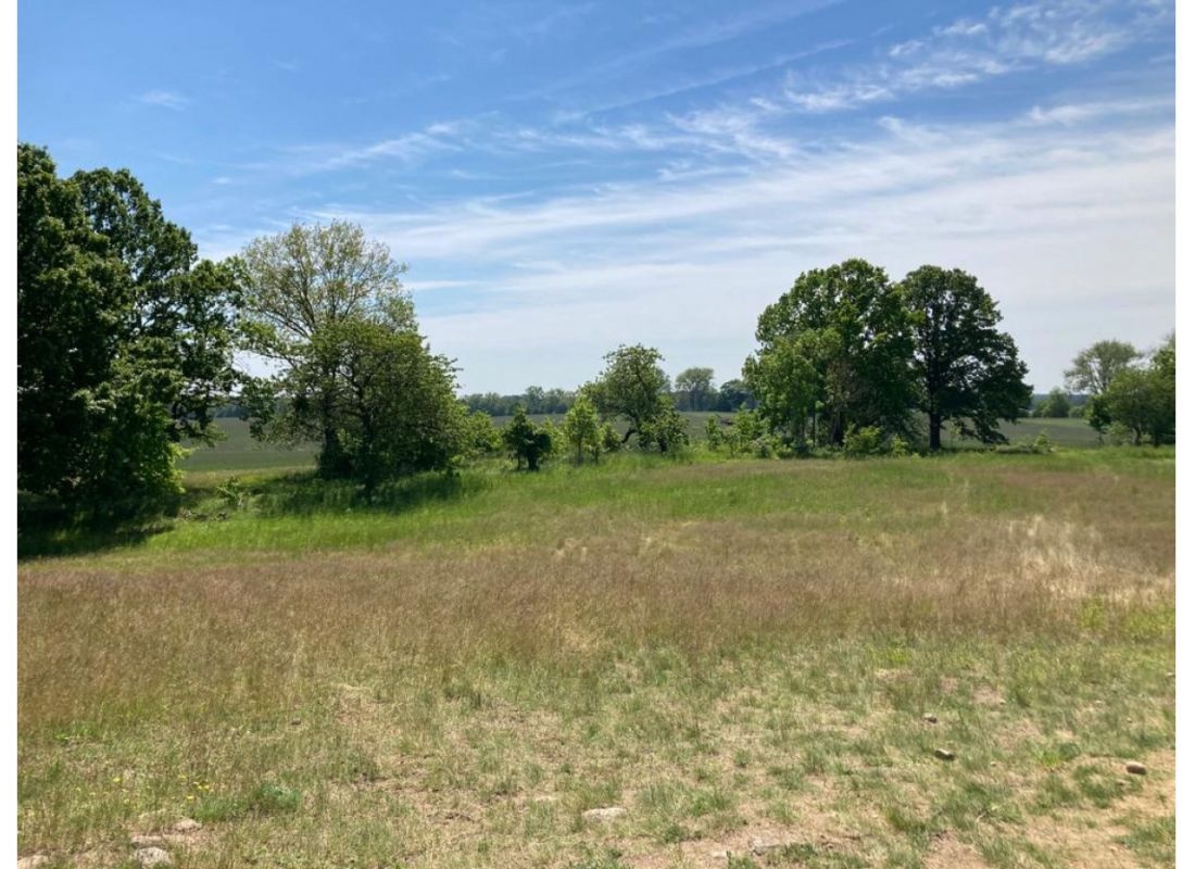 Alte Kirschen Allee — Ställplats in Rheinsberg