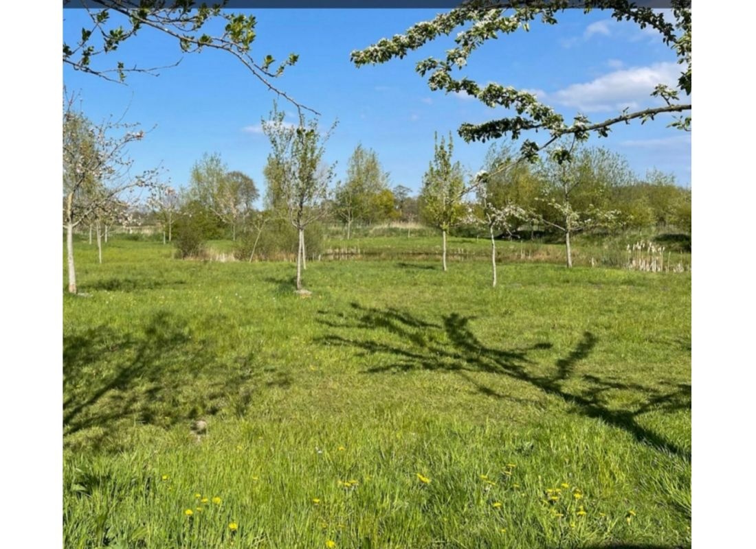 Am Naturteich — Bobilplass in Aurich