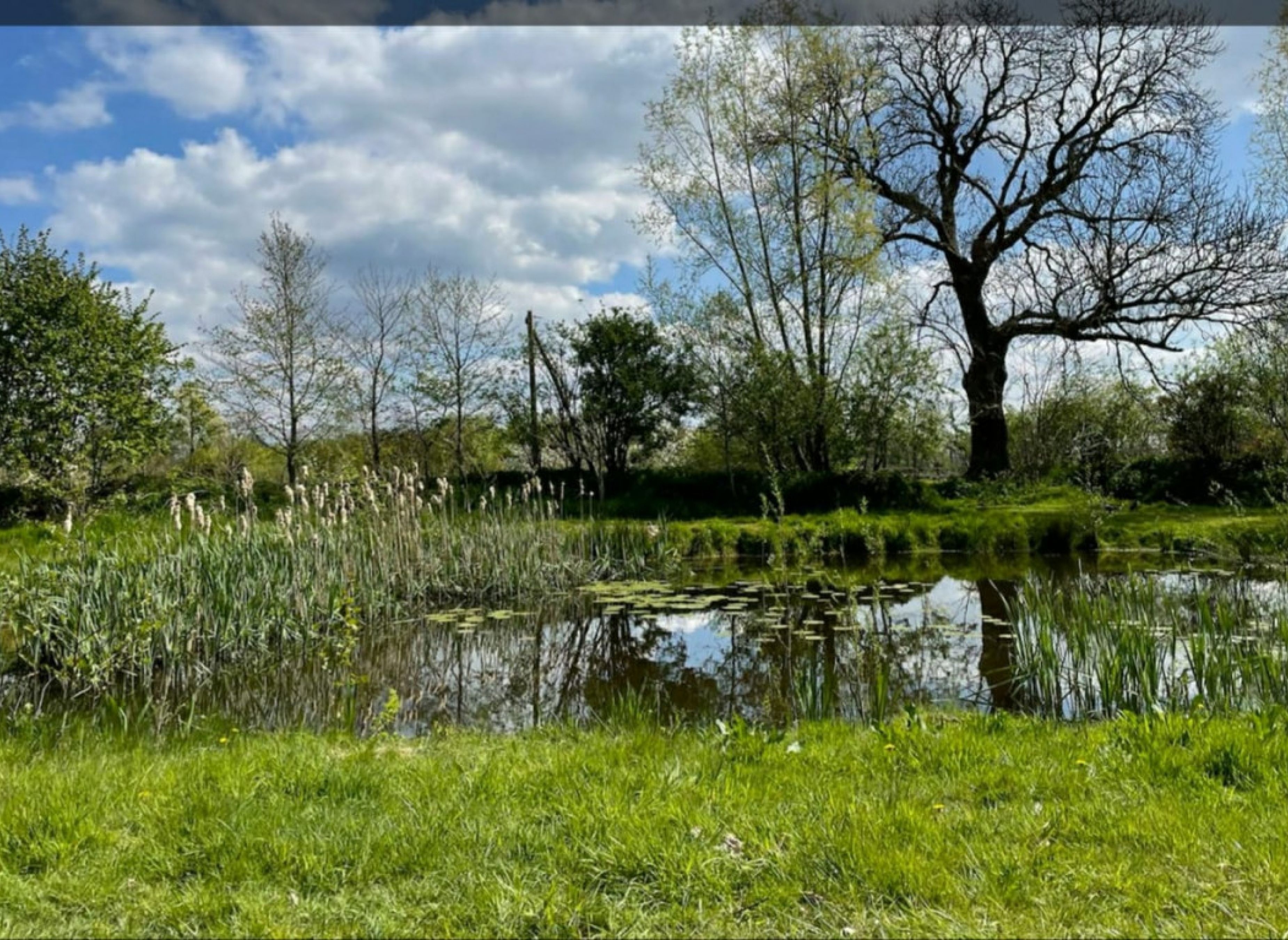 Am Naturteich — Місце для кемперів in Aurich