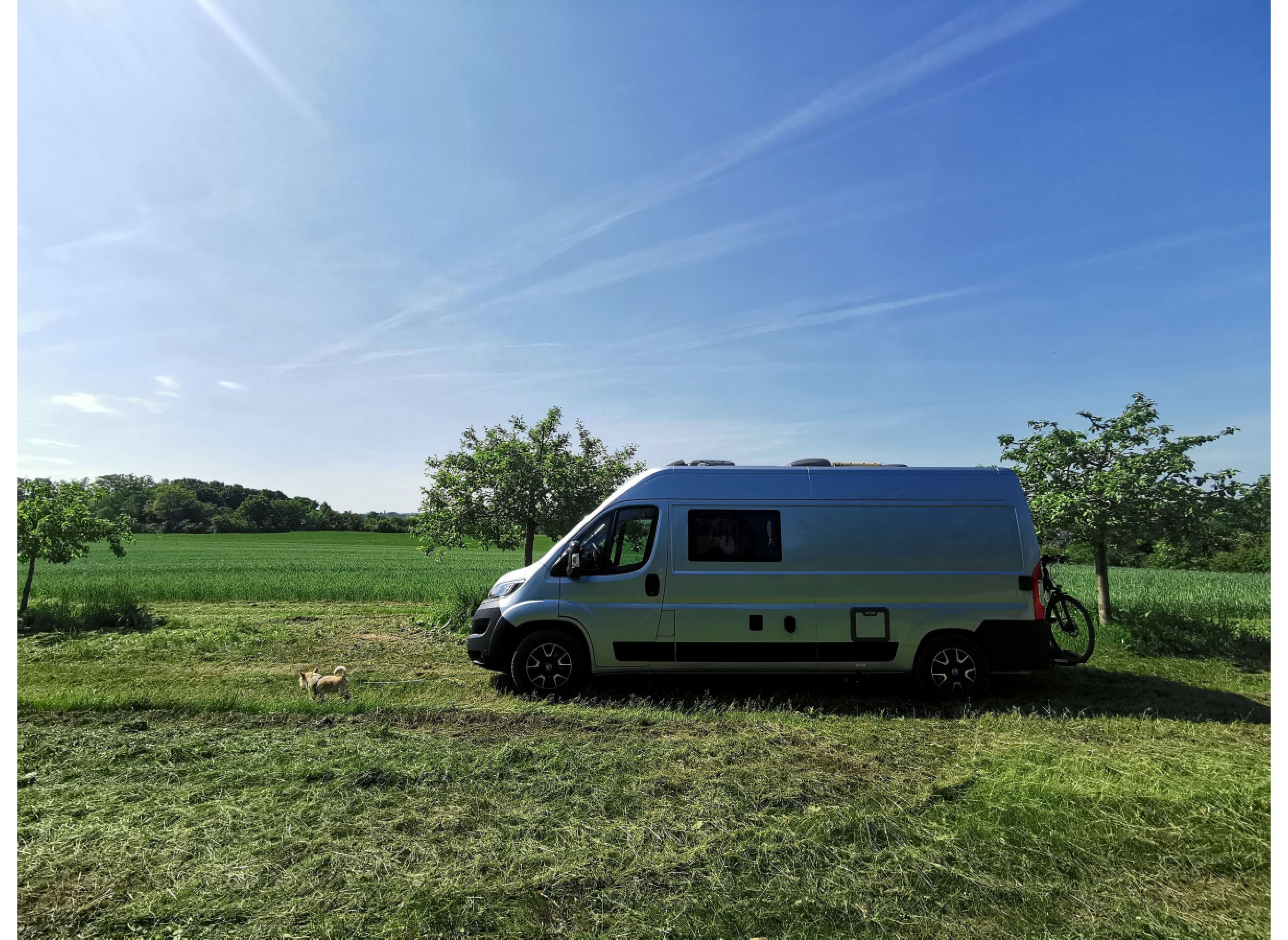 Streuobstwiese mit viel Platz #2 — Karavan Sitesi in Ochsenfurt