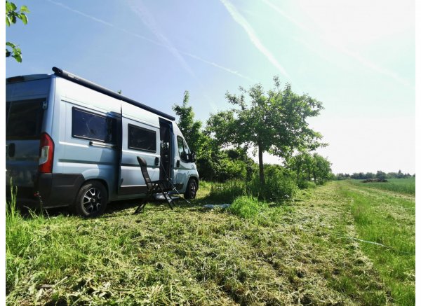 Streuobstwiese mit viel Platz #2