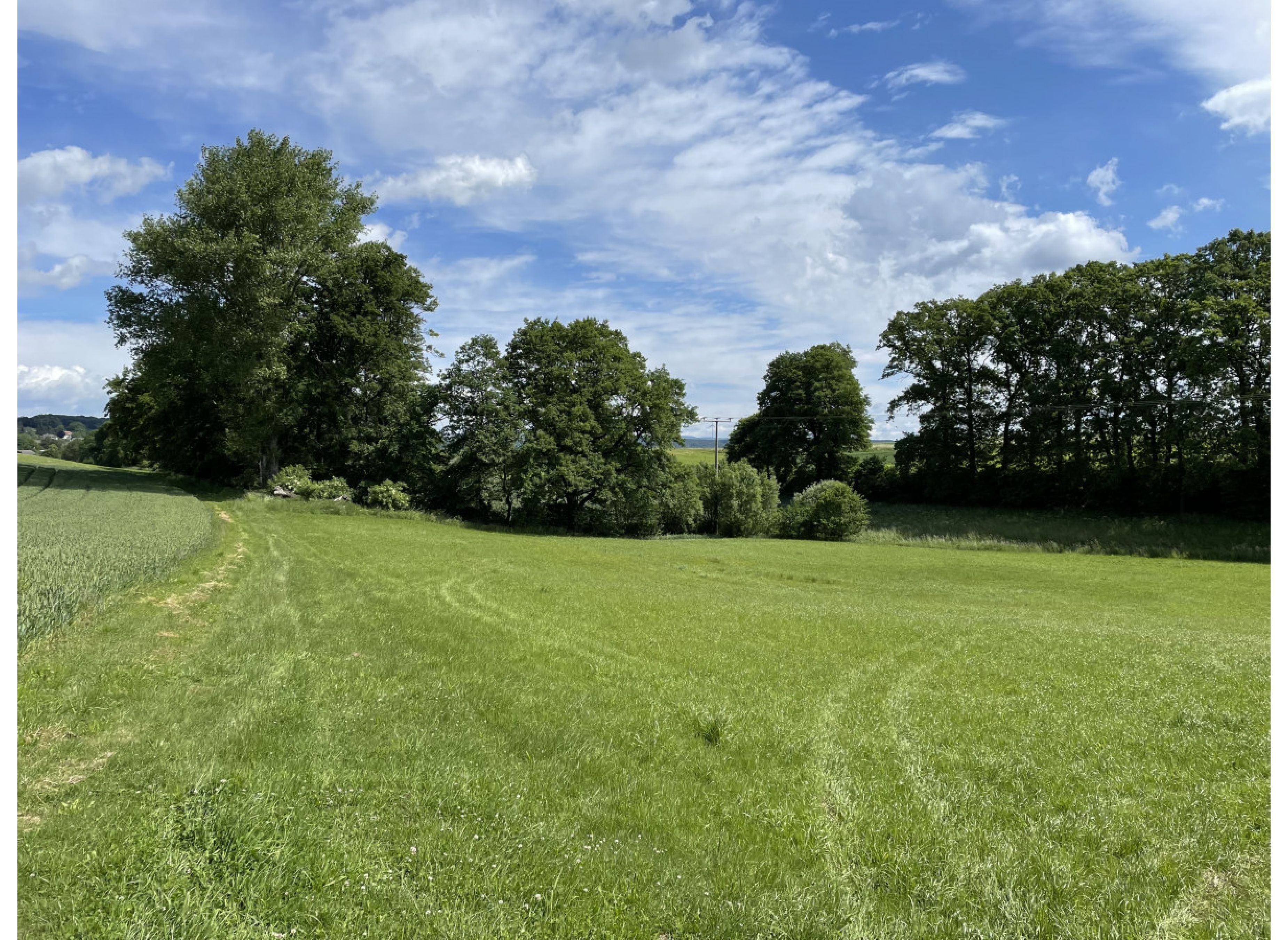 Zeltmöglichkeit idyllisch am Bach gelegen — Stellplatz in Alsfeld