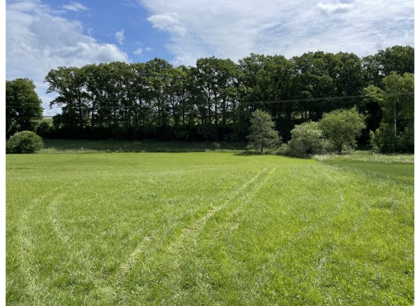 Zeltmöglichkeit idyllisch am Bach gelegen — Photo 2