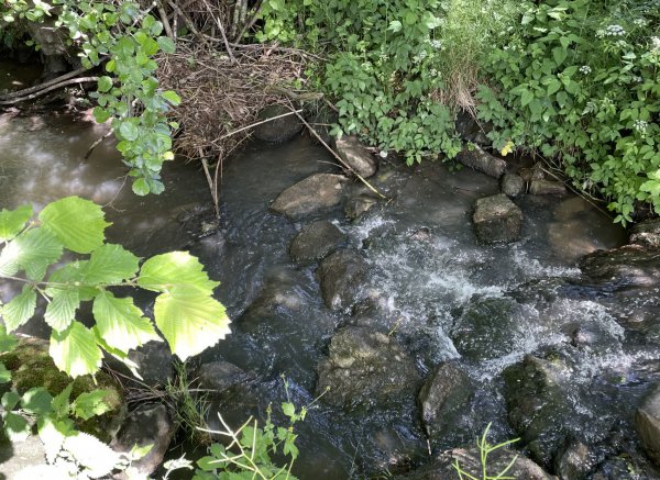 Zeltmöglichkeit idyllisch am Bach gelegen