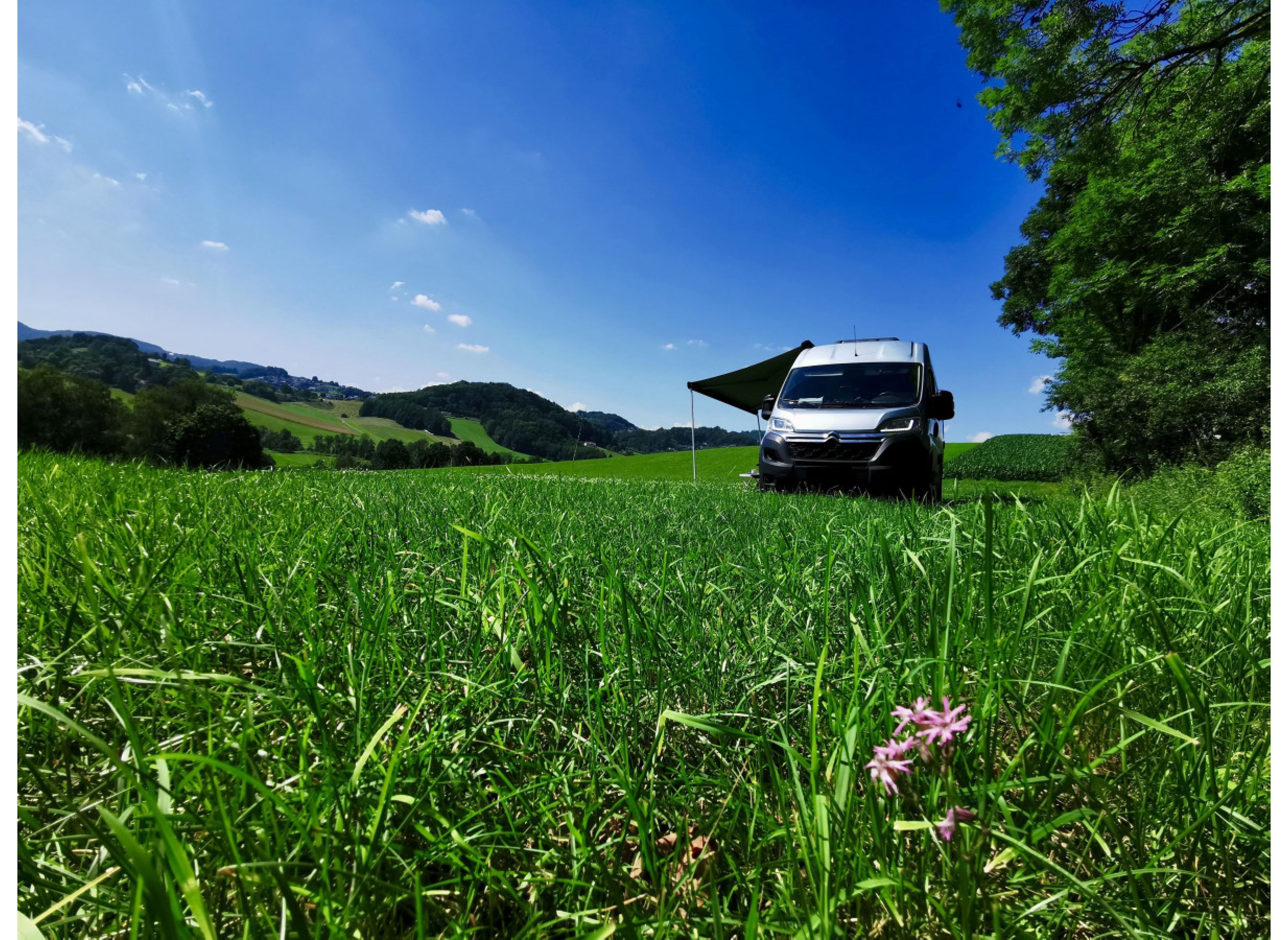 Schönster Ausblick über das Ohetal — Stellplatz in Grafenau