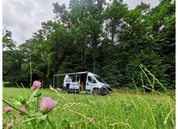 Weitblick auf der Höhenlohe #3 — Photo 3