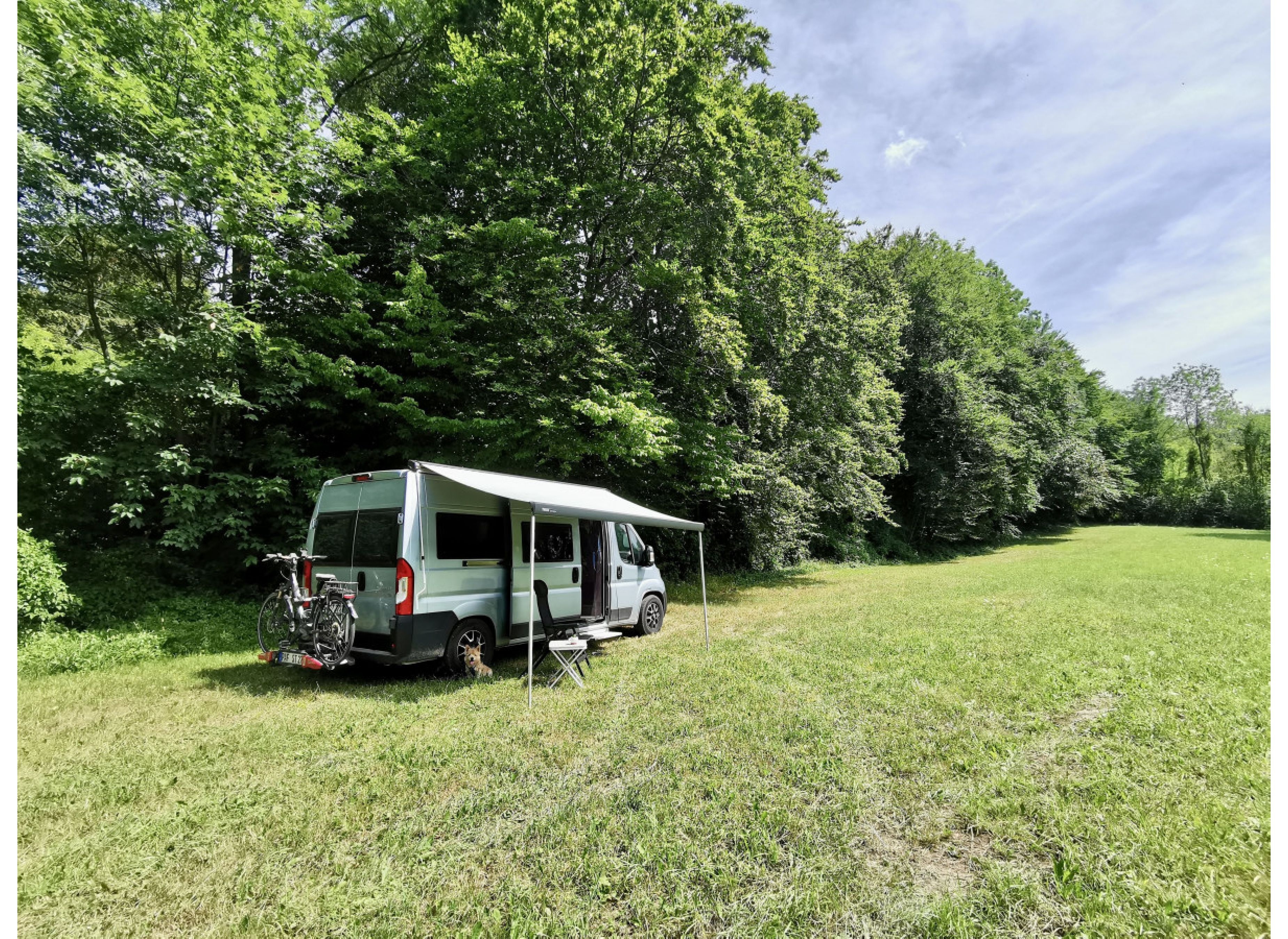Grüne Wiese am Waldrand — Karavan Sitesi in Tastungen