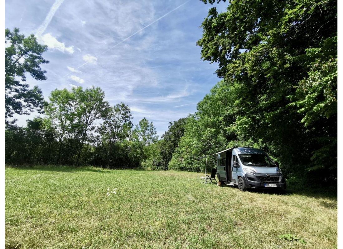 Grüne Wiese am Waldrand — Bobilplass in Tastungen