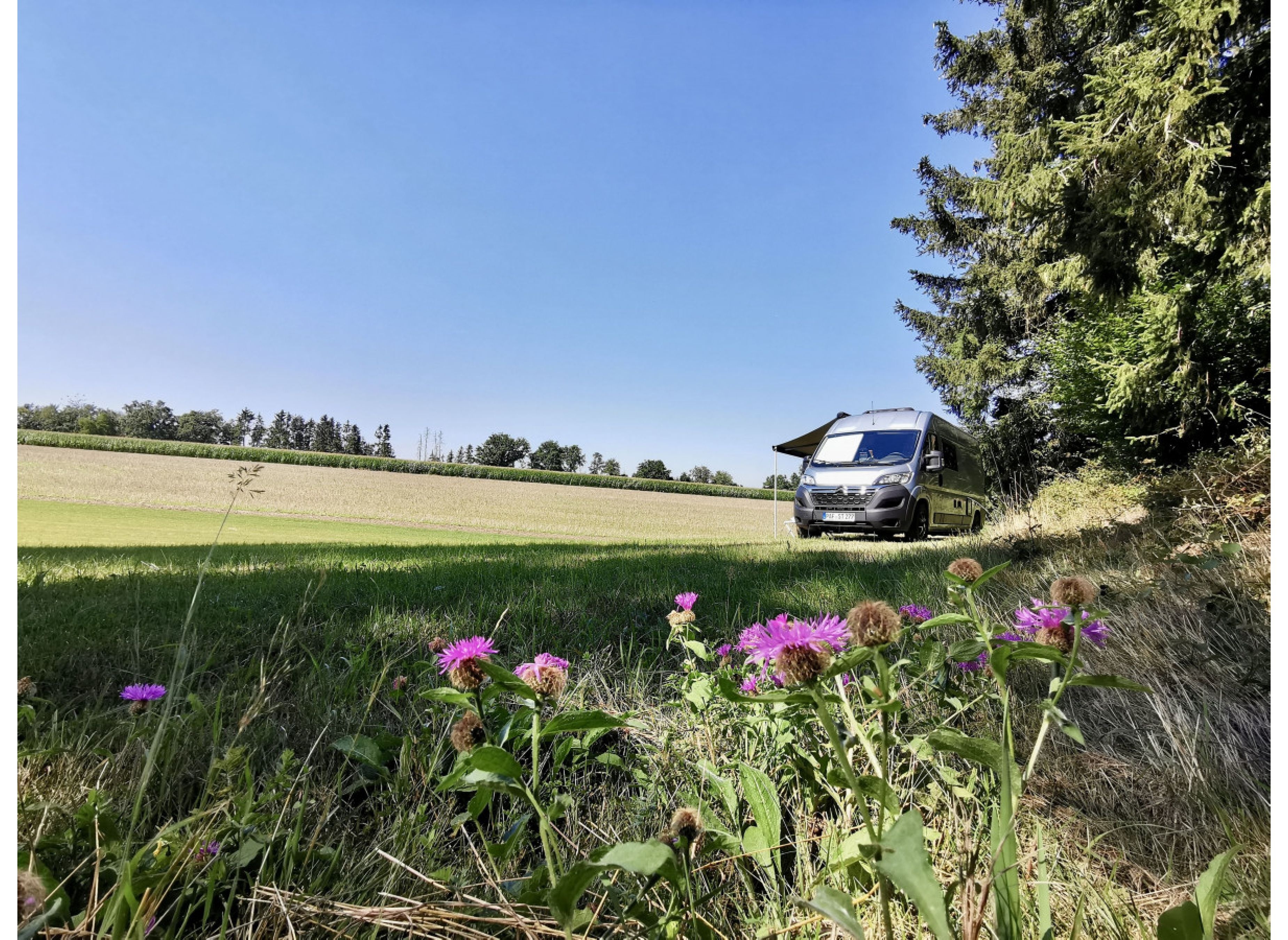 Nur Du und die Natur :-) — Camperplaats in Ostrach