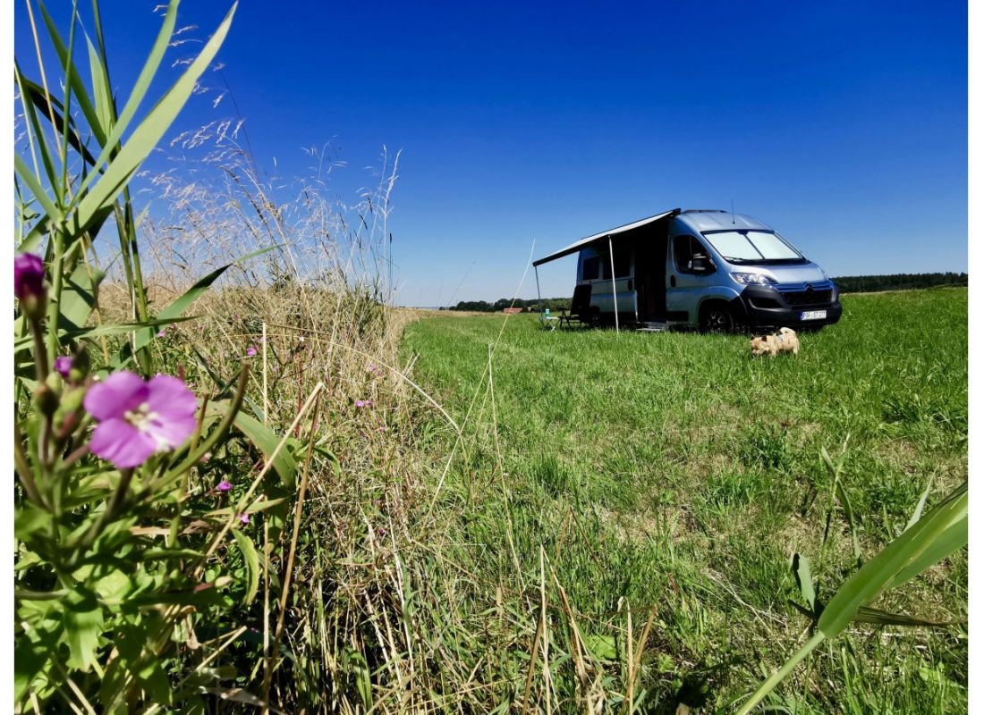 Weitsicht auf der idyllischen Wiese — Camperplaats in Ostrach