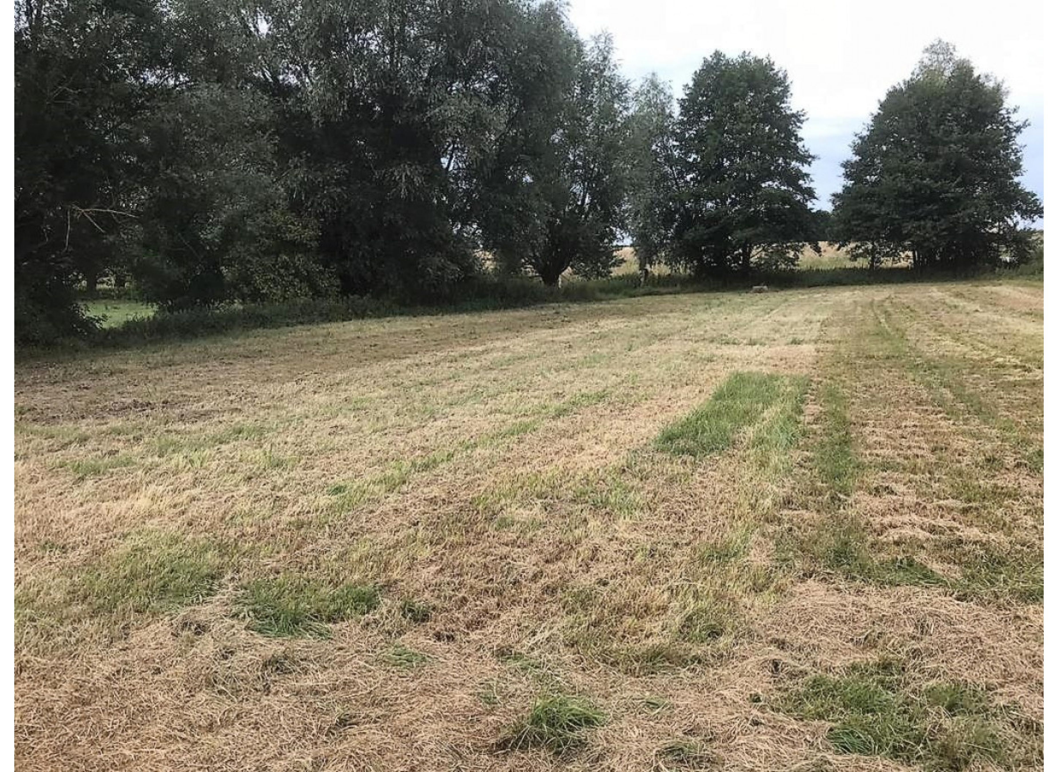 Stellplatz in ruhiger Lage — 露营车营地 in Walow