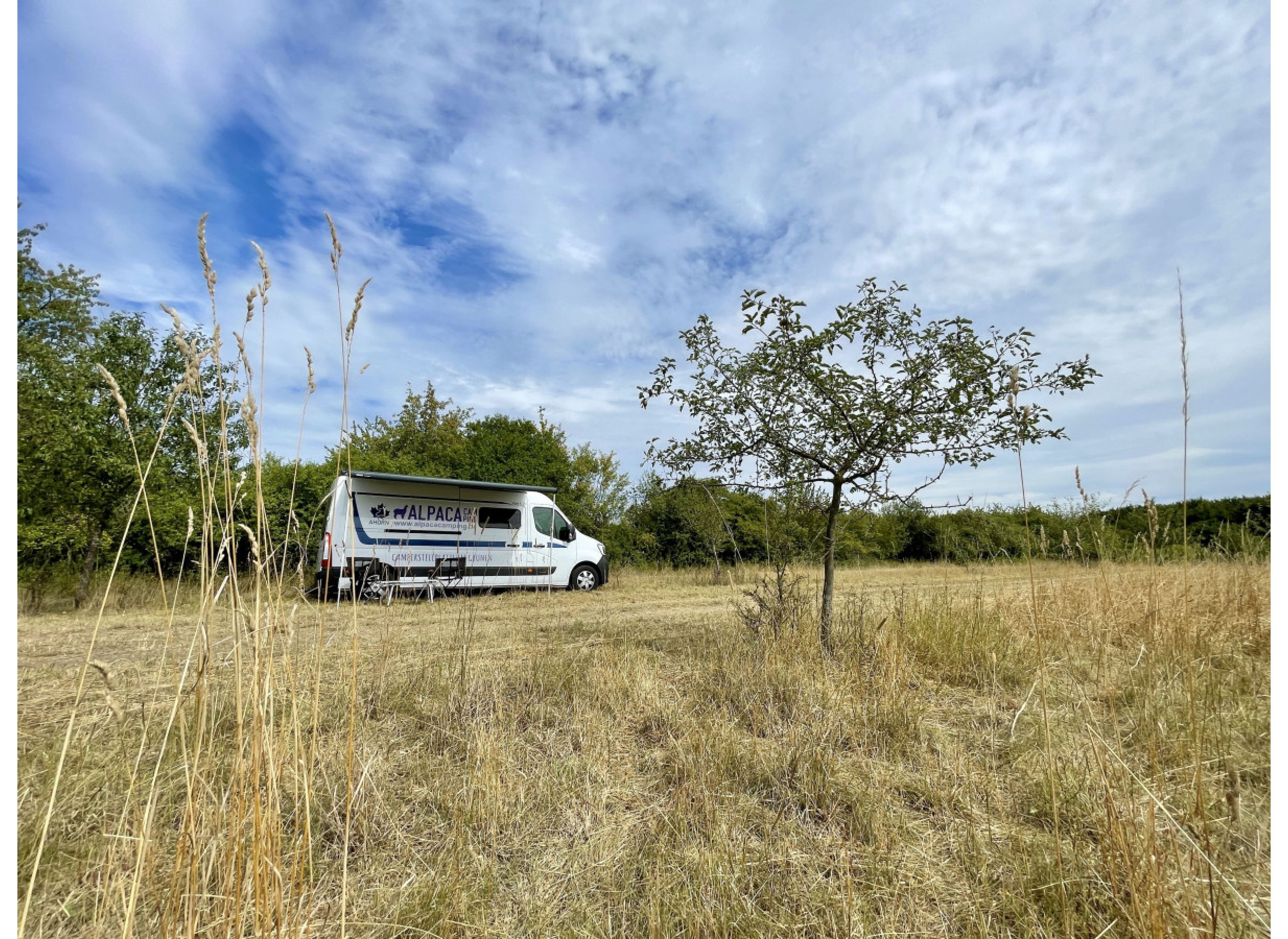 Sonnenaufgang unter den Obstbäumen #2 — Sp. parking dla kamperów in Letschin