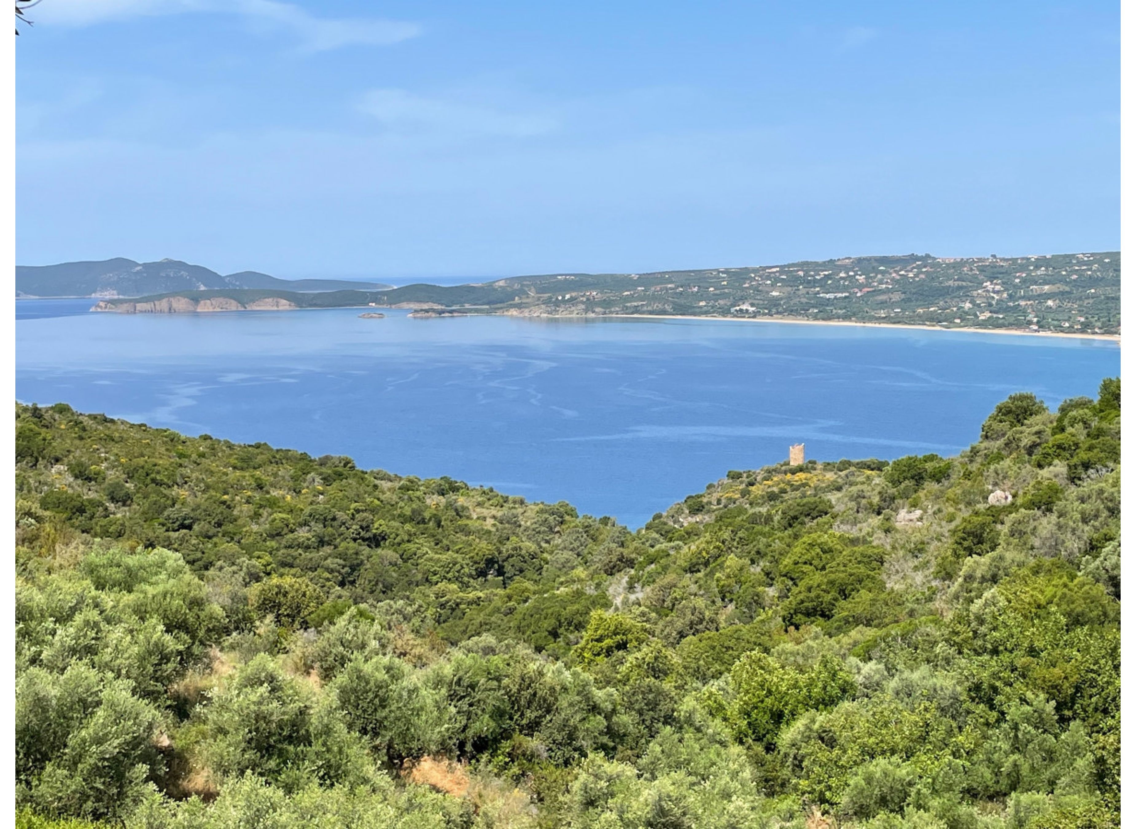 Einzelstellplatz Nähe Finikounda Peleponnes Griechenland — Campervan Site in Akritochori
