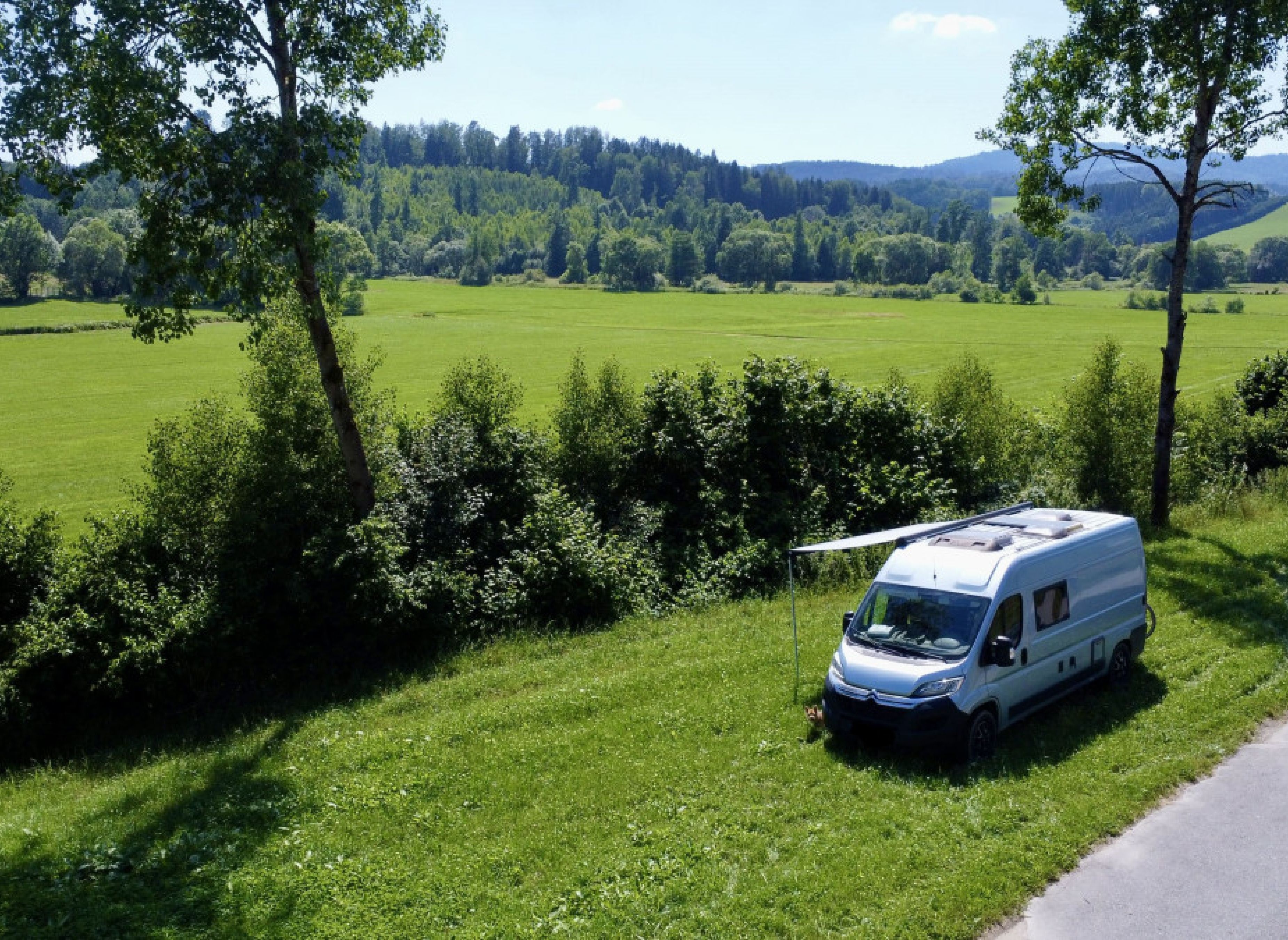 Idyllische Lage neben der Kuhweide — Bobilplass in Grafenau