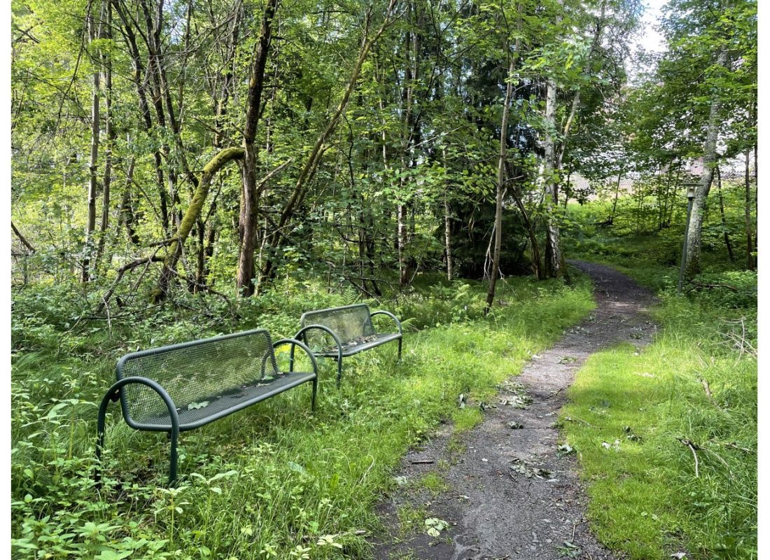 Am Nationalpark #3 — Campervan Site in Spiegelau