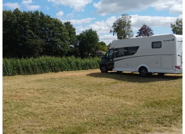 In der Natur #4 — Photo 2