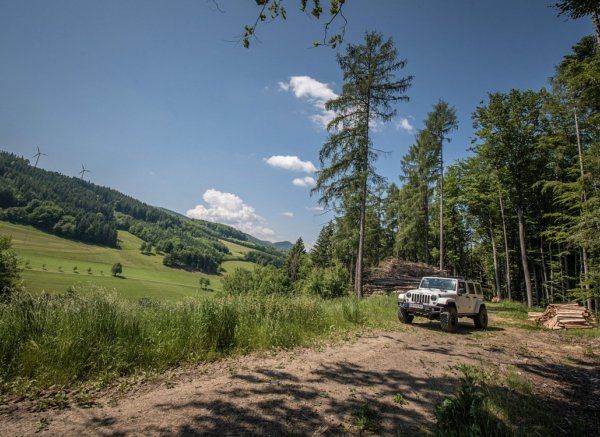 Am Lehen — Photo 2