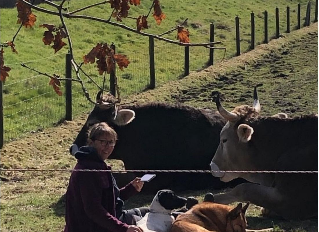 Auszeit mit Tieren in Nordseenähe #2 — Bobilplass in Wüsting