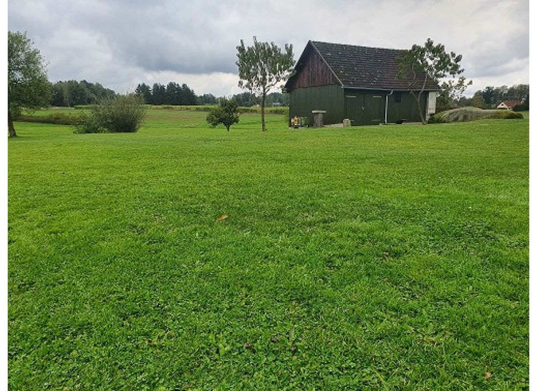 Honigparadies — Stellplatz in Amaliendorf-Aalfang