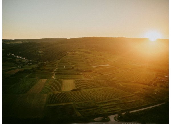 Einzelstellplatz in einem über 70 Jahre alten Weingarten — Photo 2