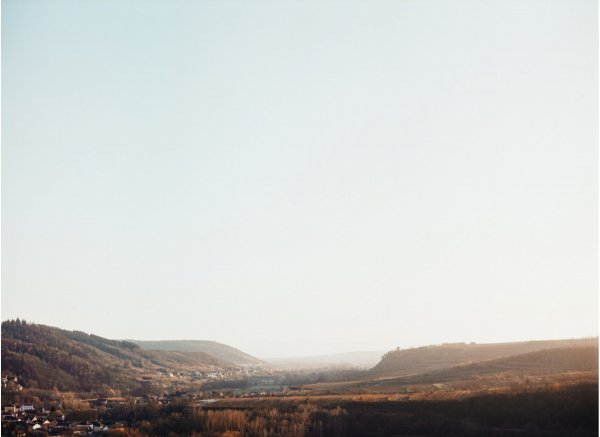 Einzelstellplatz in einem über 70 Jahre alten Weingarten