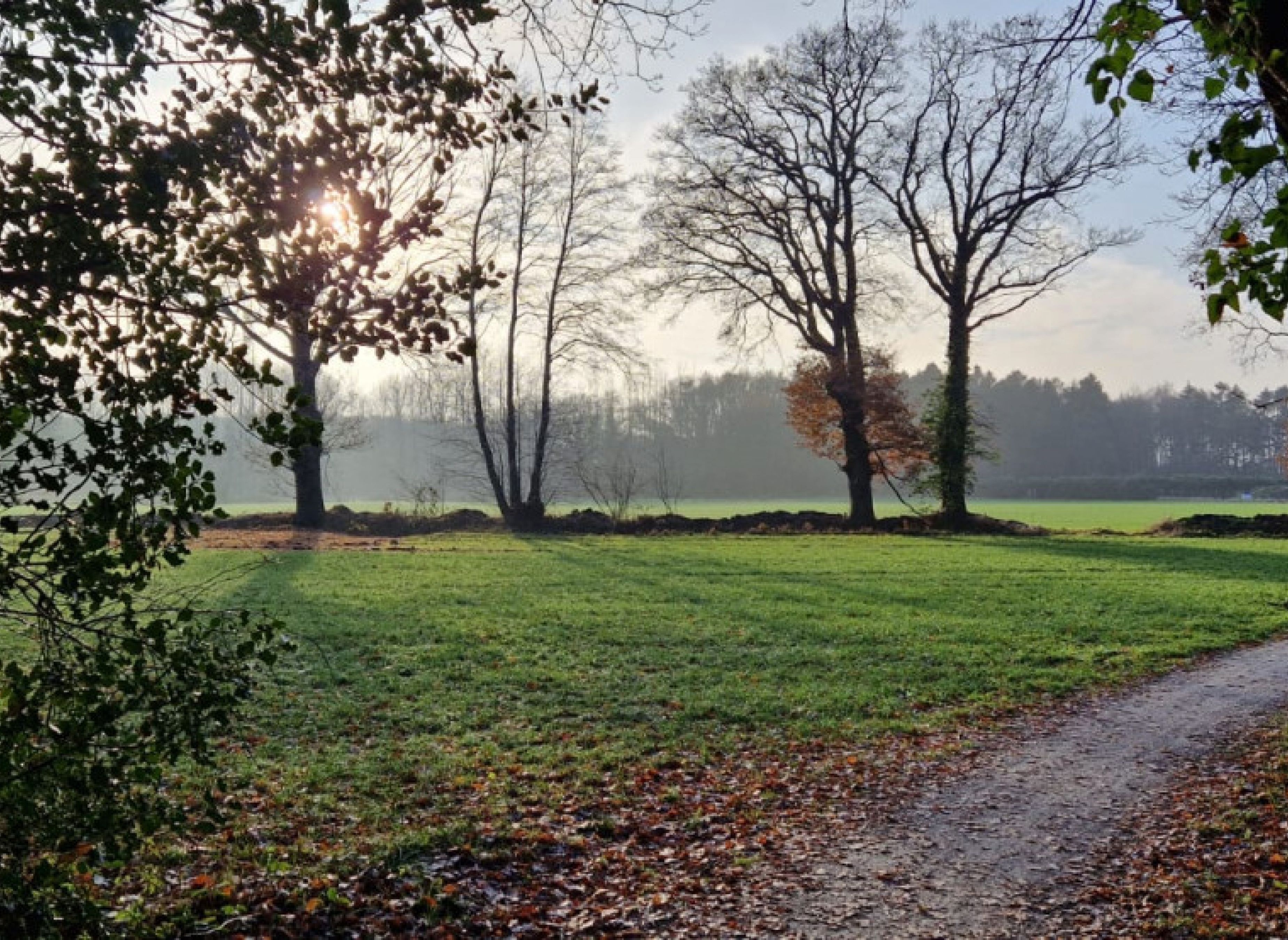 Einzelstellplatz auf Privatgrundstück — Camperplads in Bad Zwischenahn