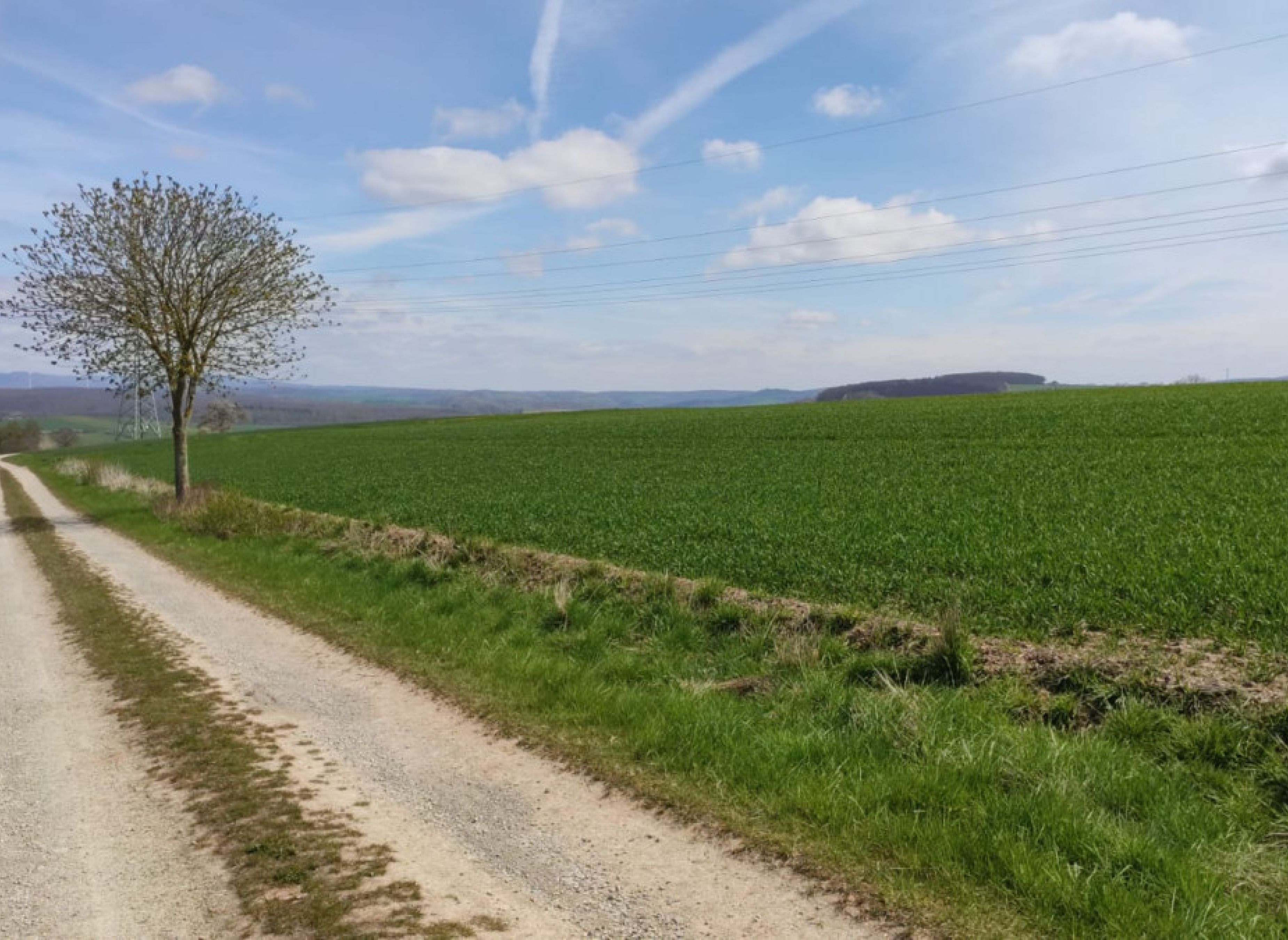 Stellplatz in Duderstadt mit herrlichem Harzblick und Gasthaus in der Nähe — Area Autocaravanas in Duderstadt