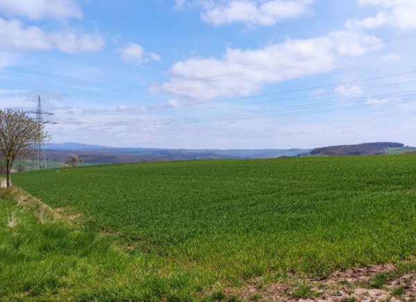 Stellplatz in Duderstadt mit herrlichem Harzblick und Gasthaus in der Nähe — Foto 3