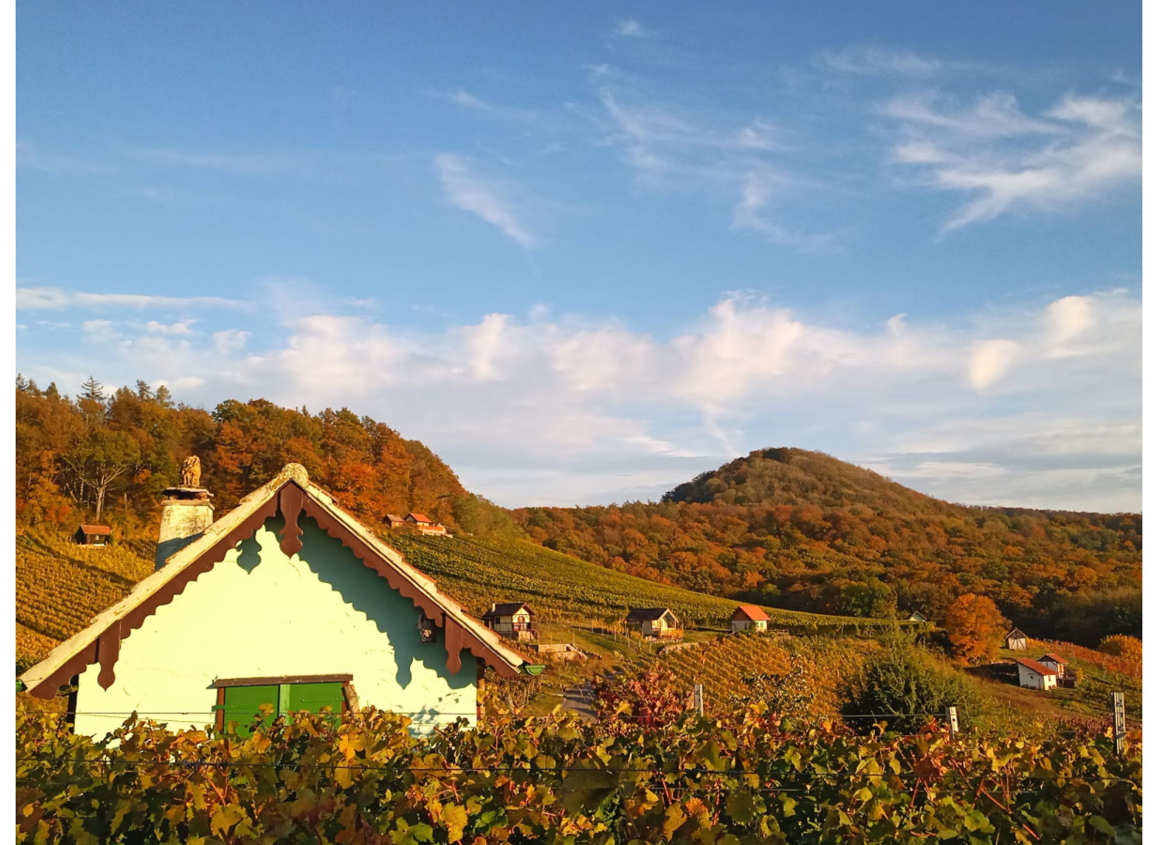 Naturerlebnis zwischen Wald, Wein und Wiesen — 露营车营地 in Donnersdorf