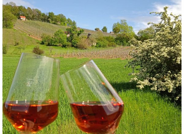 Naturerlebnis zwischen Wald, Wein und Wiesen — Photo 2