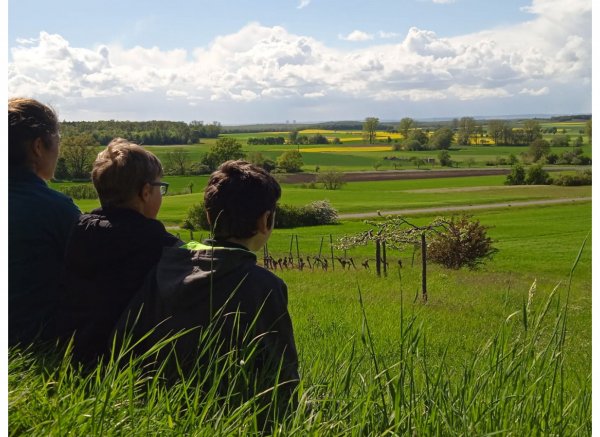 Naturerlebnis zwischen Wald, Wein und Wiesen