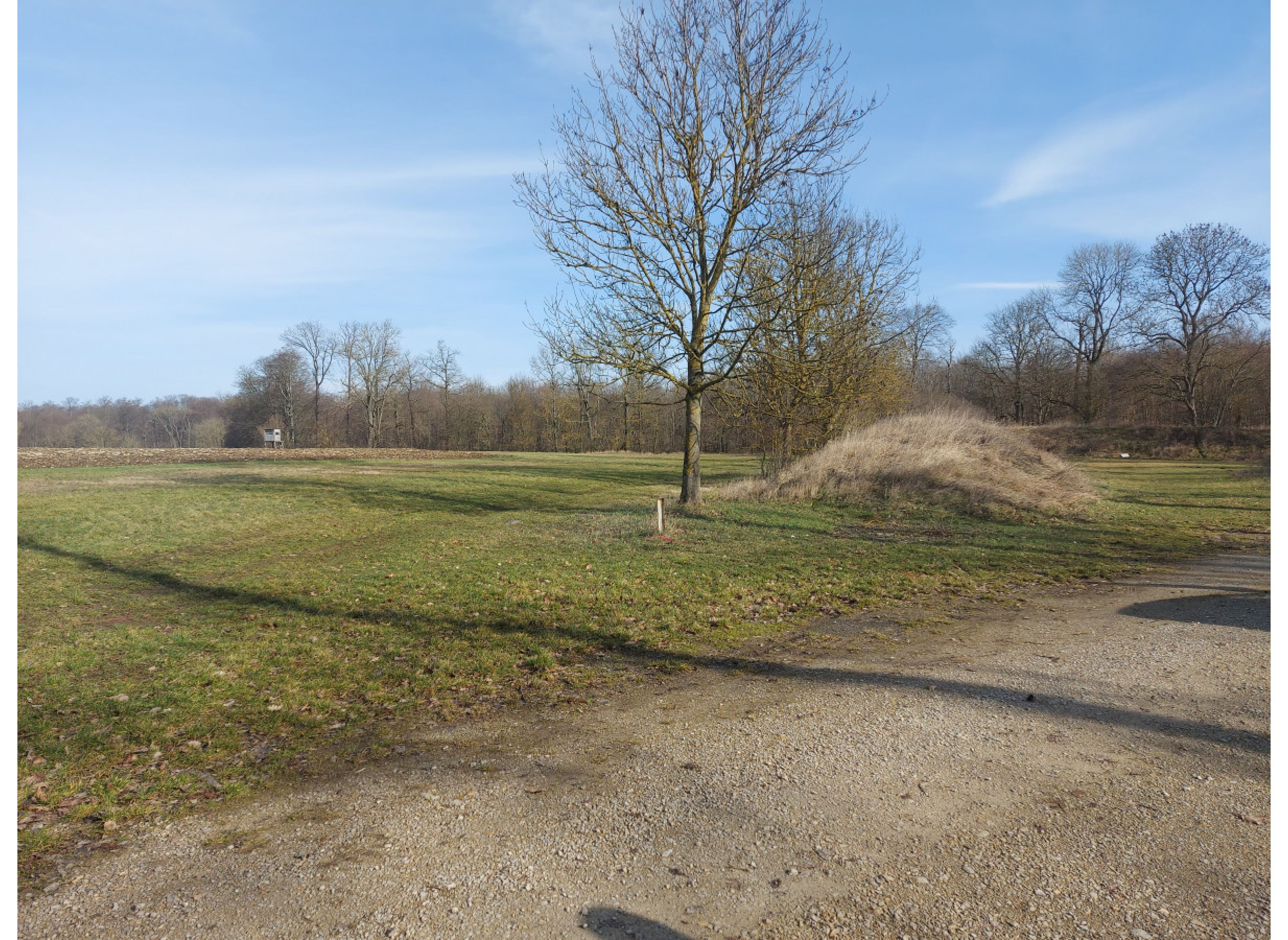 Bogenschützenplatz #3 — Camperplaats in Friedrichsrode/Helbedündorf