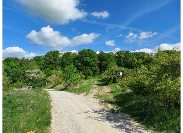 Schenksgarten Großbrüchter — Photo 2