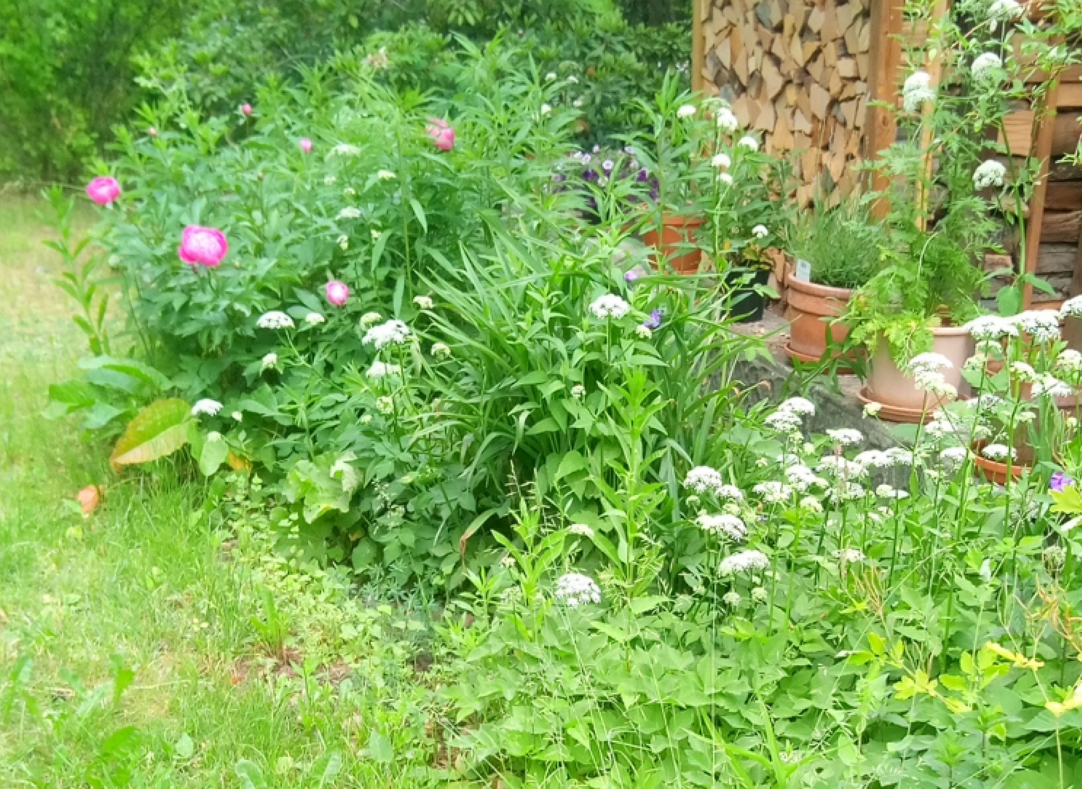 Ruhe genießen am Waldrand — Місце для кемперів in Wandlitz