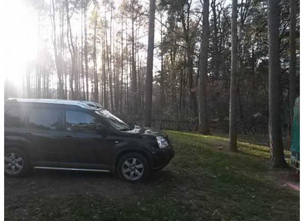 Ruhe genießen am Waldrand — Photo 2