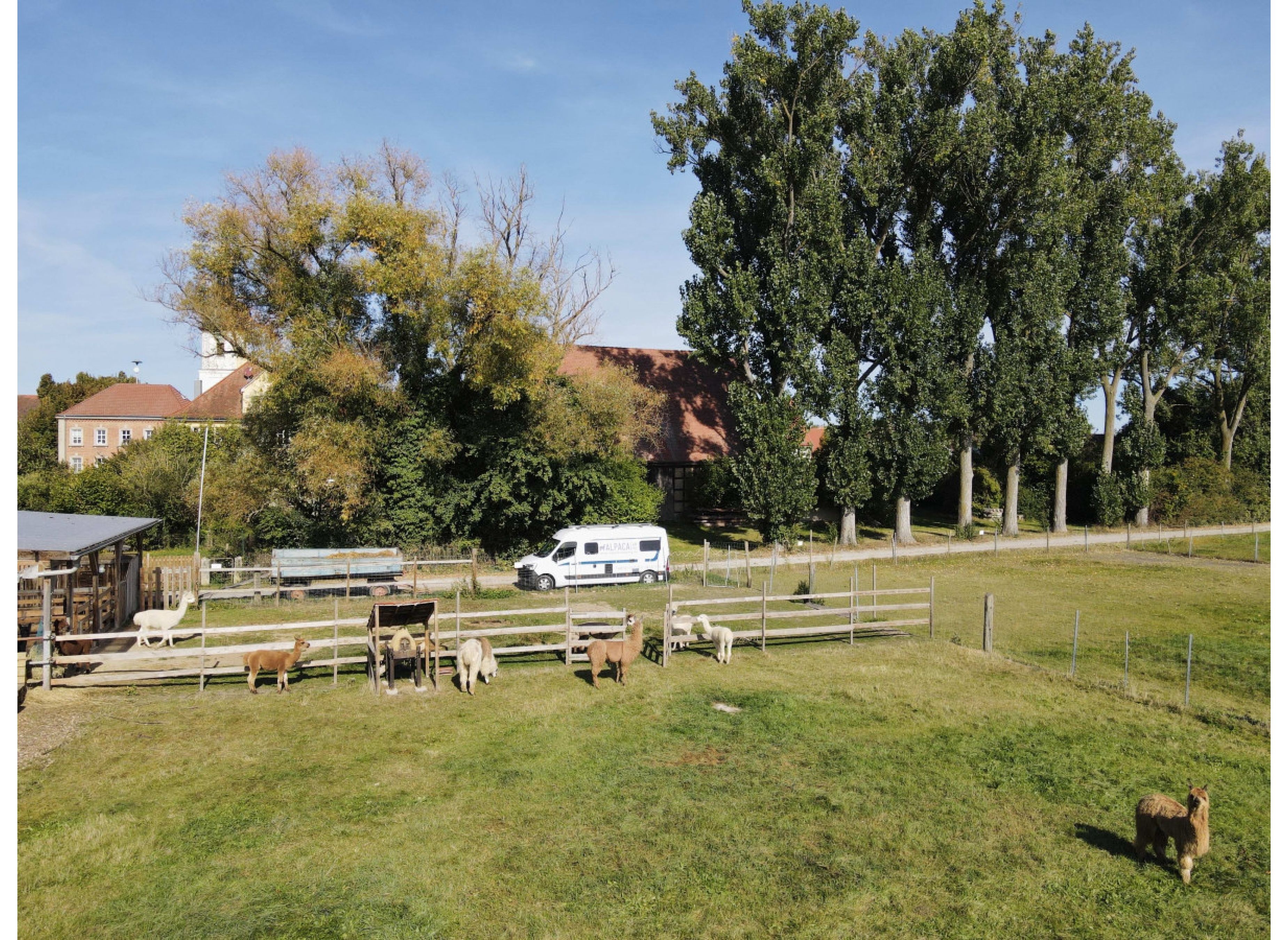 Im Grünen bei den ALPAKAS — Karavan Sitesi in Ulsenheim