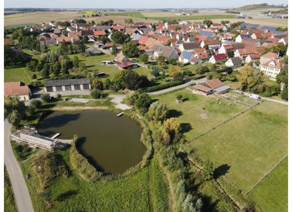 Im Grünen bei den ALPAKAS — Photo 2