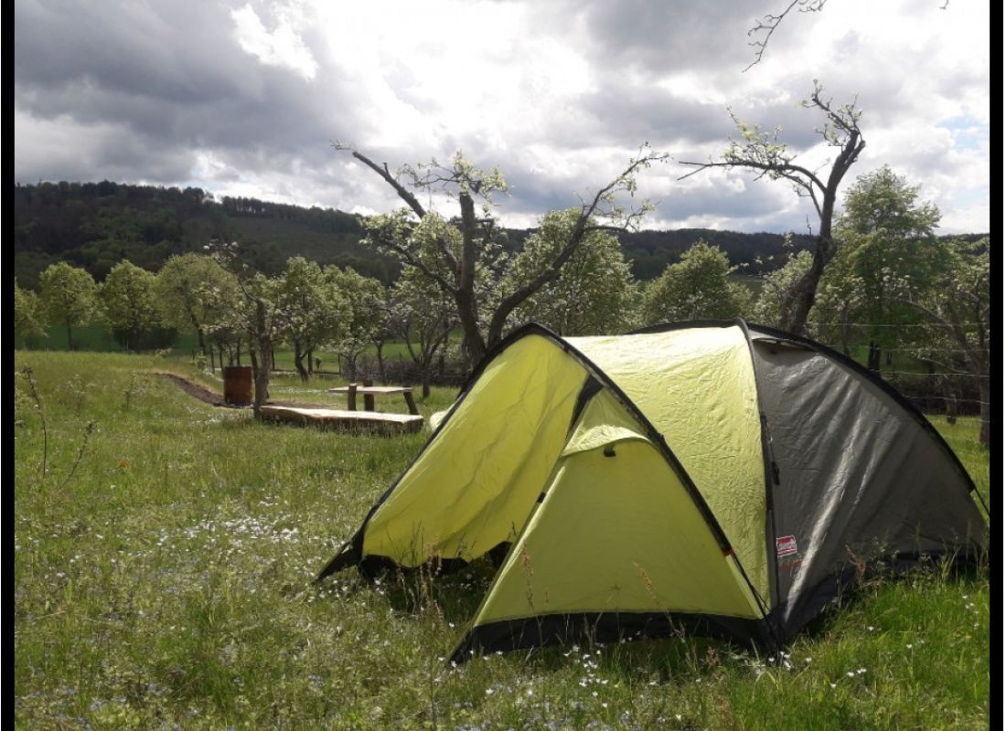 Zelten bei den Alpakas #1 — Bobilplass in Doberschau-Gaußig