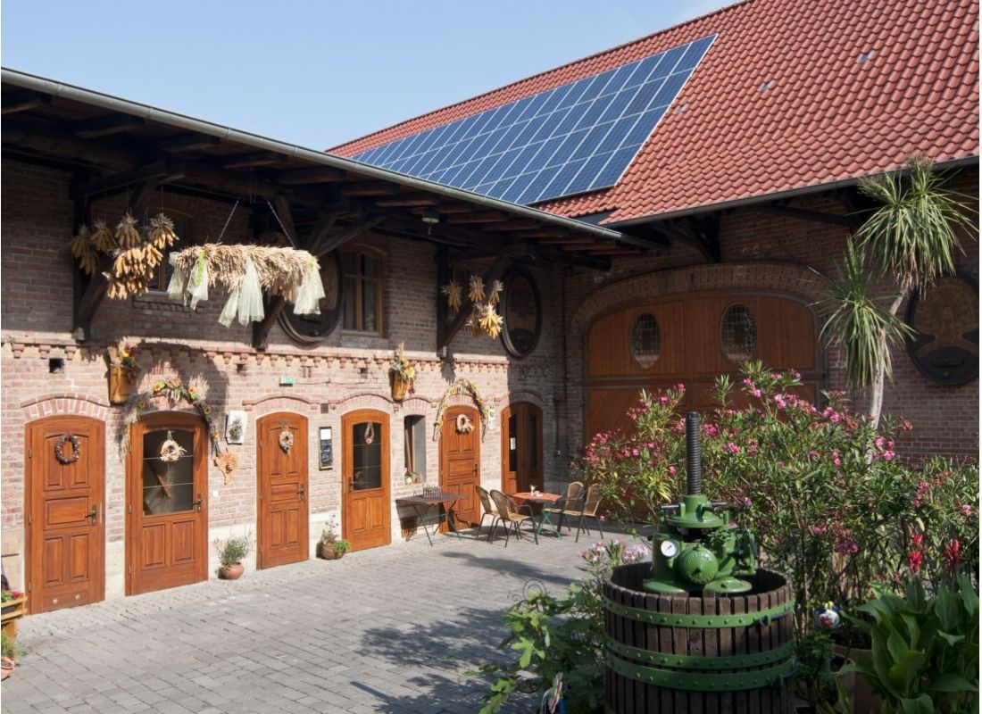 platz weitblick winzer — Weingut in Mücheln