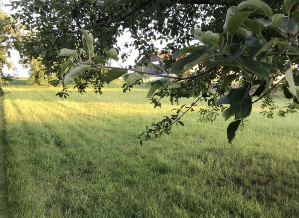 Urlaub im Naturpark Altmühltal — Photo 2