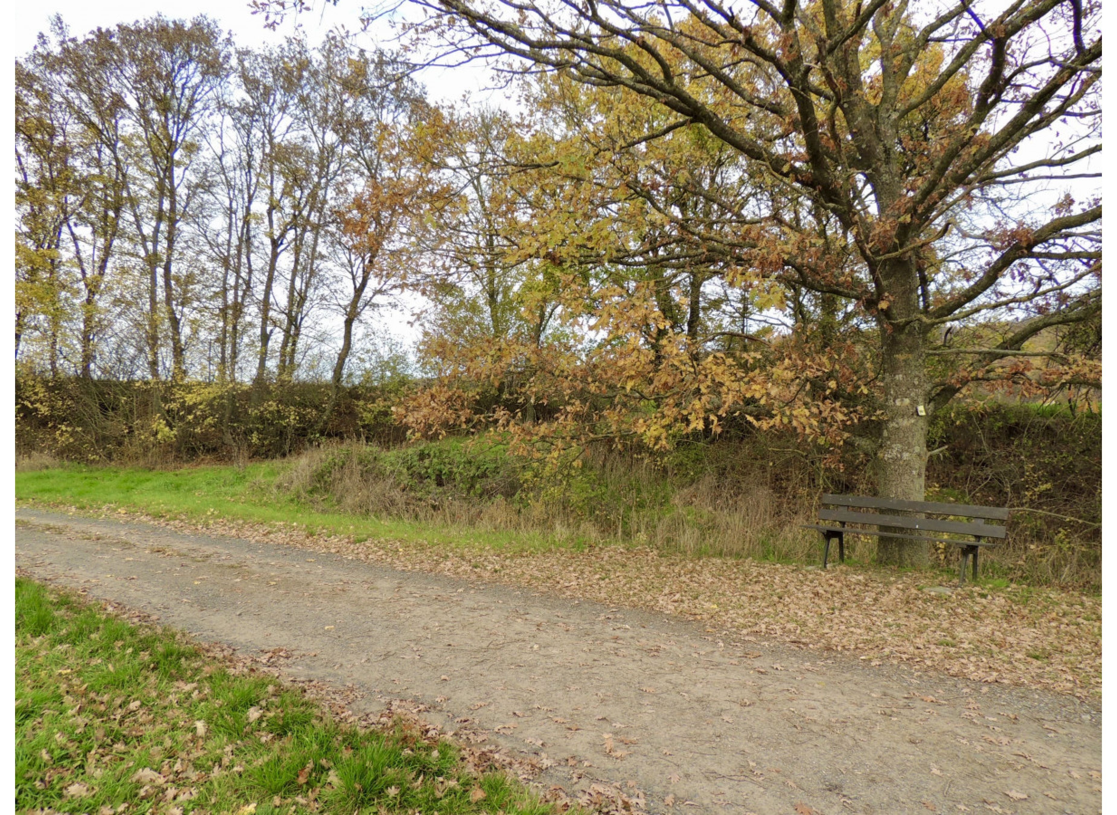Rottenstein Am Müllerssteig — Karavan Sitesi in Aidhausen-Rottenstein