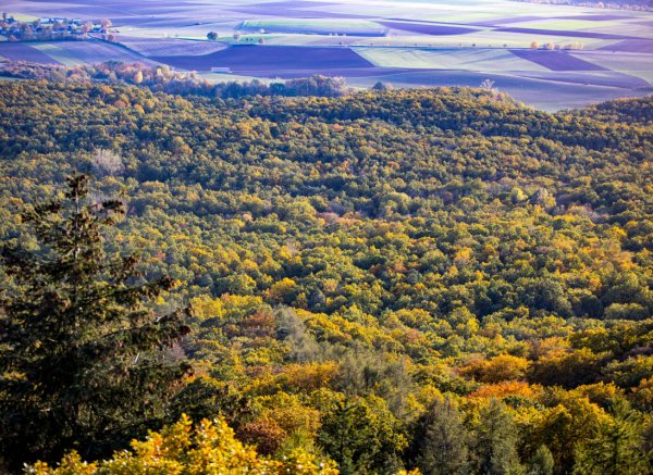Rottenstein Am Müllerssteig