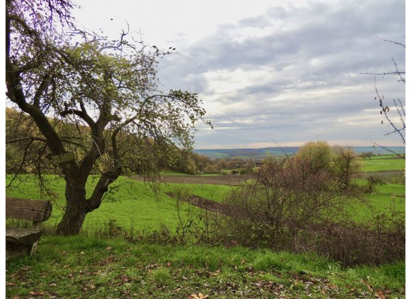 Rottenstein Am Kellerrangen 2